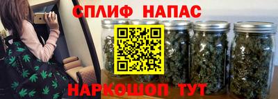 крисы Бузулук