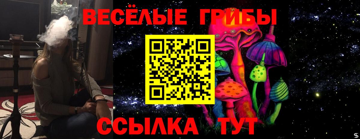 Саратов  Псилоцибиновые грибы Psilocybine cubensis  Вход с VPN 